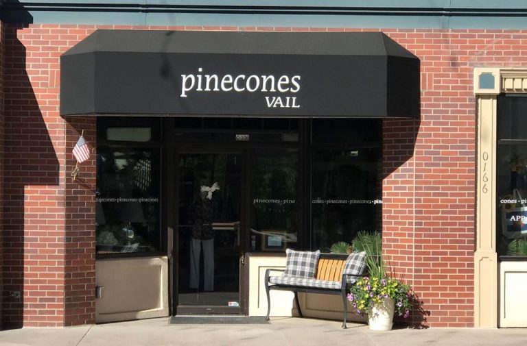 pinecones 768x505